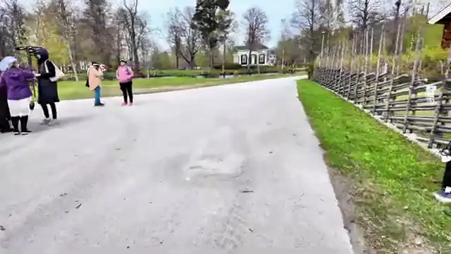 Tecknat Barn Svenska:Högbo Brukshotell & Spa (1858-2024) DVDRIPPEN (Svenska) Trailer