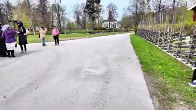 Tecknat Barn Svenska:Högbo Brukshotell & Spa (1858-2024) DVDRIPPEN (Svenska) Trailer (4K)